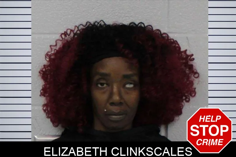 Elizabeth Clinkscales mugshot – Carroll County , Georgia Elizabeth Clinkscales mugshot