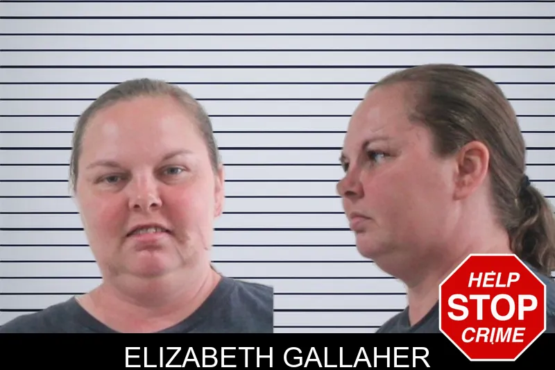 Elizabeth Gallaher mugshot – Houston County , Georgia Elizabeth Gallaher mugshot