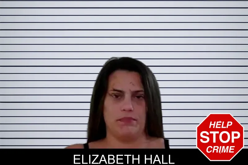 Elizabeth Hall mugshot – Liberty County , Georgia Elizabeth Hall mugshot