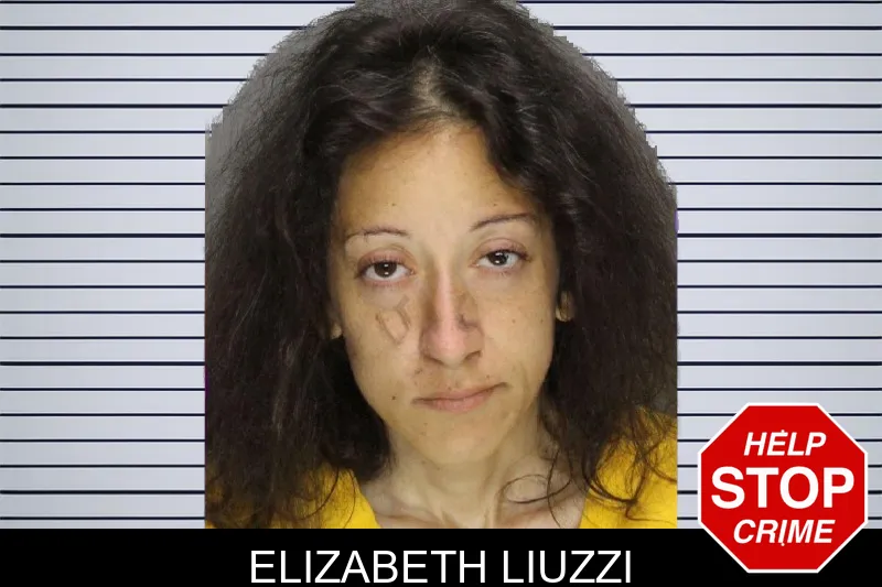 Elizabeth Liuzzi mugshot