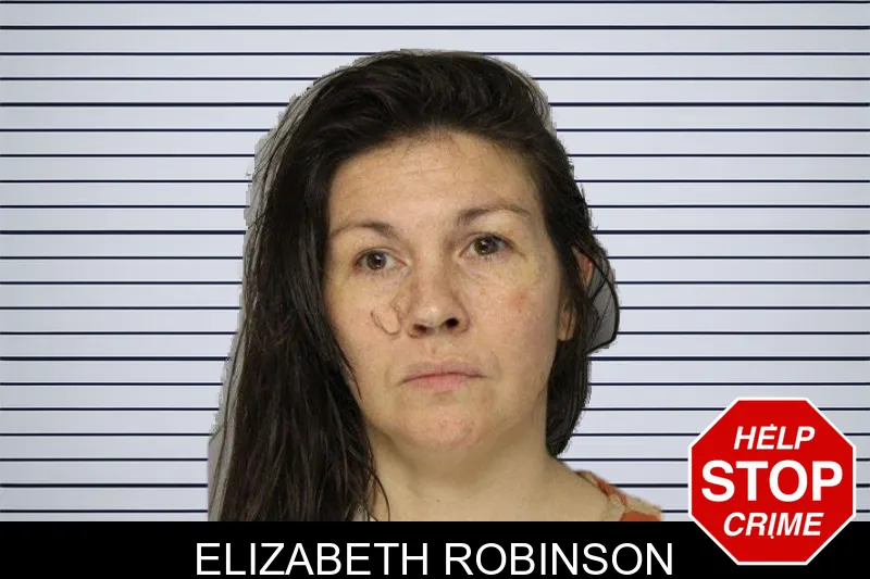 Elizabeth Robinson mugshot – Hall County , Georgia Elizabeth Robinson mugshot