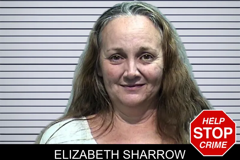 Elizabeth Sharrow mugshot – Effingham County , Georgia Elizabeth Sharrow mugshot