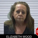 Elizabeth Wood mugshot – Gilmer County , Georgia Elizabeth Wood mugshot
