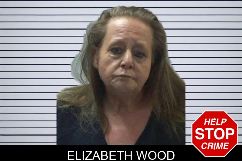 Elizabeth Wood mugshot – Gilmer County , Georgia Elizabeth Wood mugshot