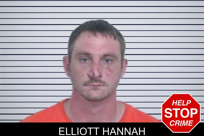 Elliott Hannah mugshot – Washington County , Georgia Elliott Hannah mugshot