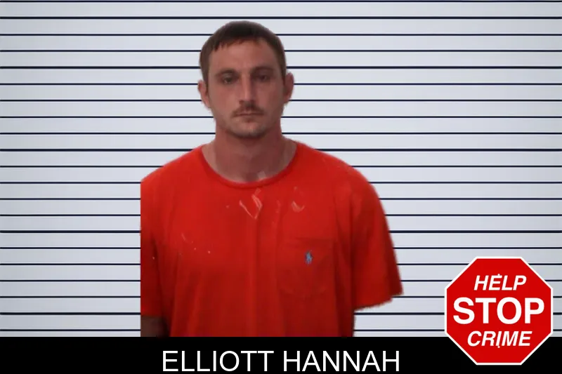Elliott Hannah mugshot – Emanuel County , Georgia Elliott Hannah mugshot