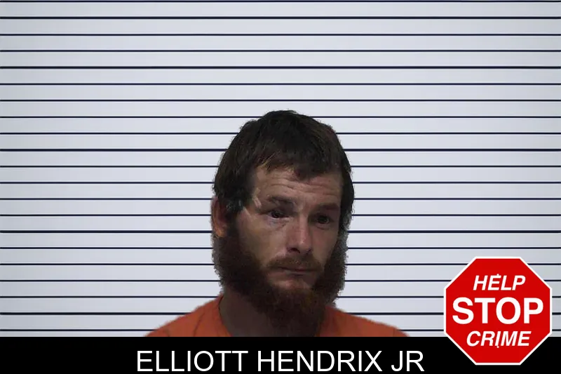 Elliott Hendrix Jr mugshot – Laurens County , Georgia Elliott Hendrix Jr mugshot