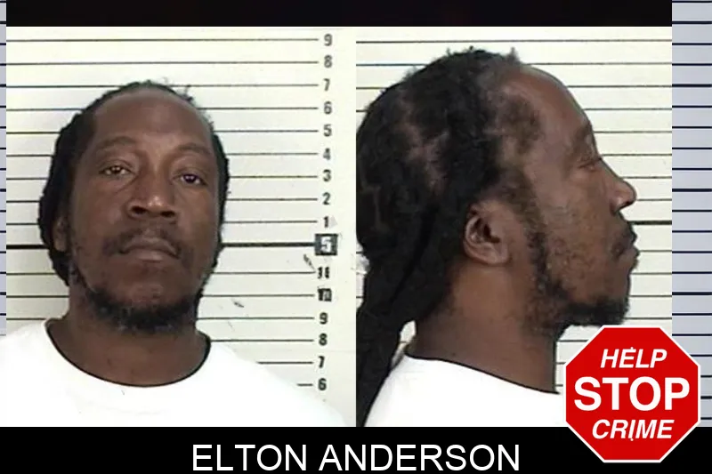 Elton Anderson mugshot – Camden County , Georgia Elton Anderson mugshot