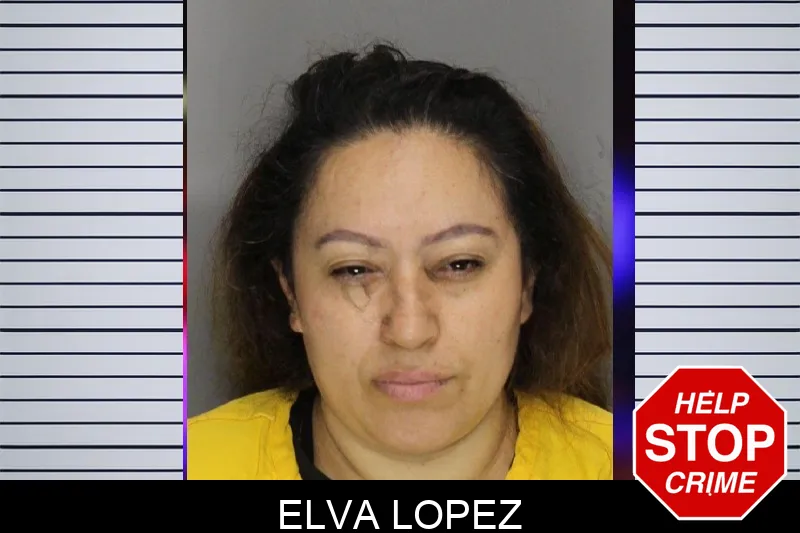 Elva Lopez mugshot – Cobb County , Georgia Elva Lopez mugshot
