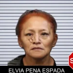 Elvia Pena Espada mugshot – Forsyth County , Georgia Elvia Pena Espada mugshot