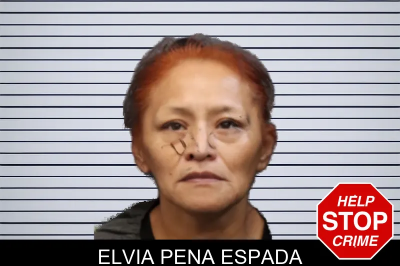 Elvia Pena Espada mugshot – Forsyth County , Georgia Elvia Pena Espada mugshot