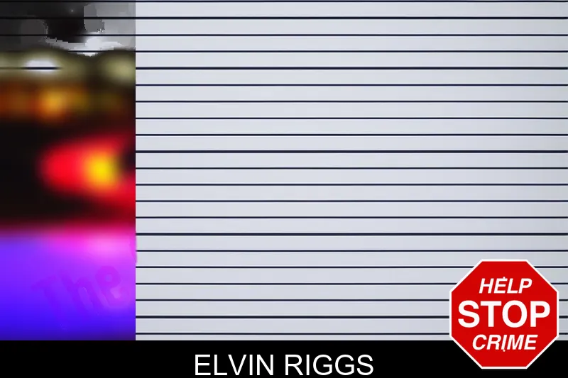 Elvin Riggs mugshot – Greene County , Georgia Elvin Riggs mugshot