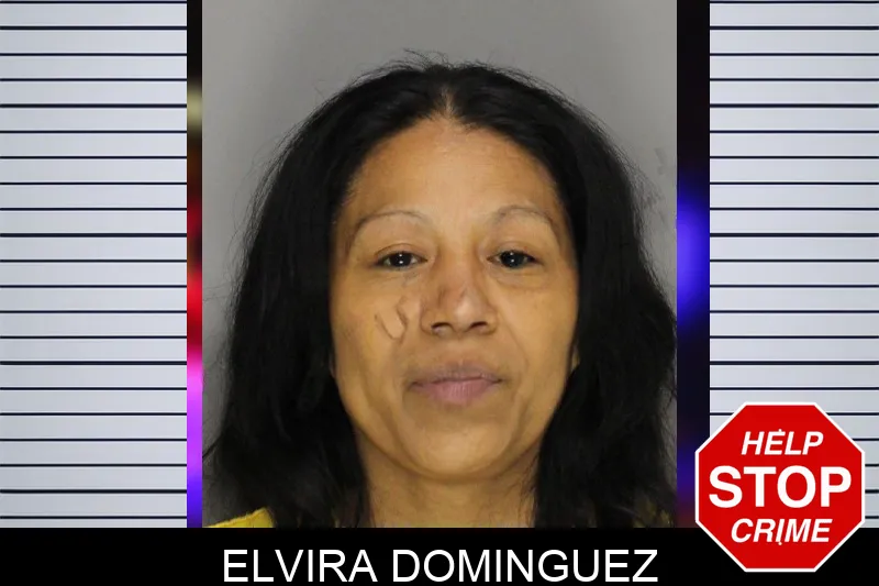 Elvira Dominguez mugshot – Cobb County , Georgia Elvira Dominguez mugshot