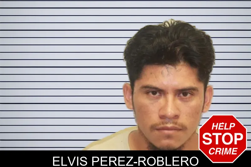 Elvis Perez-Roblero mugshot – Chatham County , Georgia Elvis Perez-Roblero mugshot