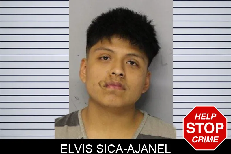 Elvis Sica-Ajanel mugshot – Hall County , Georgia Elvis Sica-Ajanel mugshot