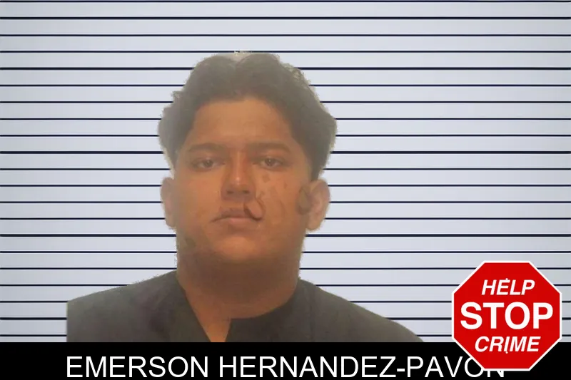 Emerson Hernandez-Pavon mugshot – Carroll County , Georgia Emerson Hernandez-Pavon mugshot