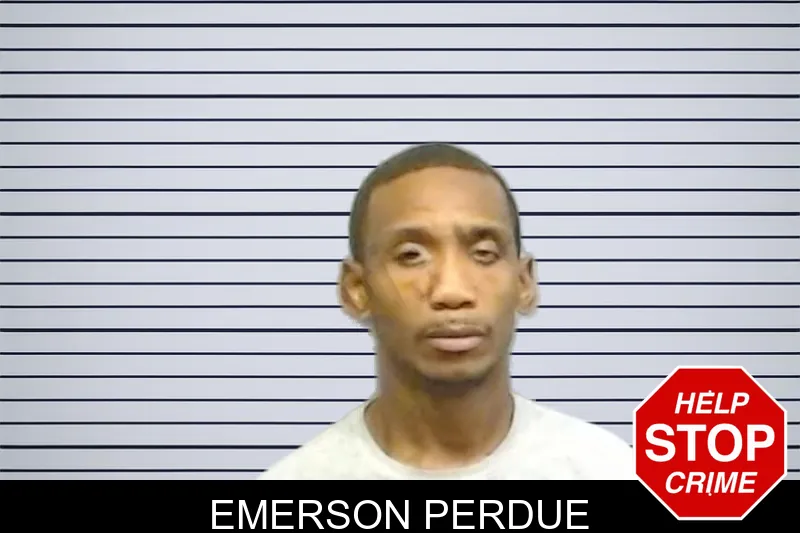 Emerson Perdue mugshot – Fulton County , Georgia Emerson Perdue mugshot