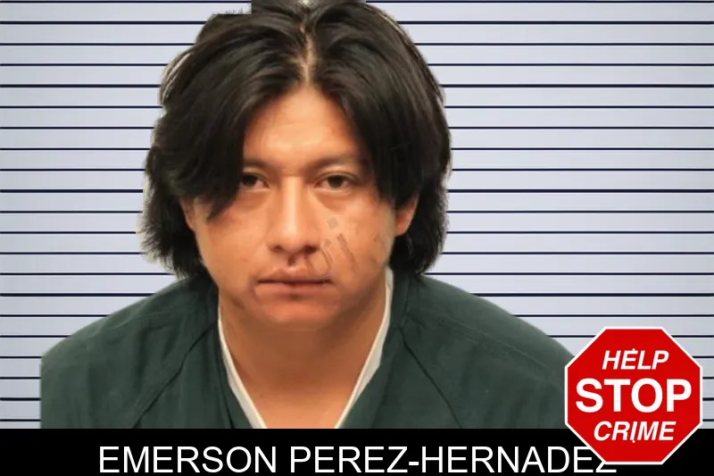 Emerson Perez-Hernadez mugshot – Chatham County , Georgia Emerson Perez-Hernadez mugshot