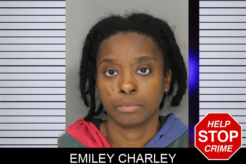 Emiley Charley mugshot – Cobb County , Georgia Emiley Charley mugshot