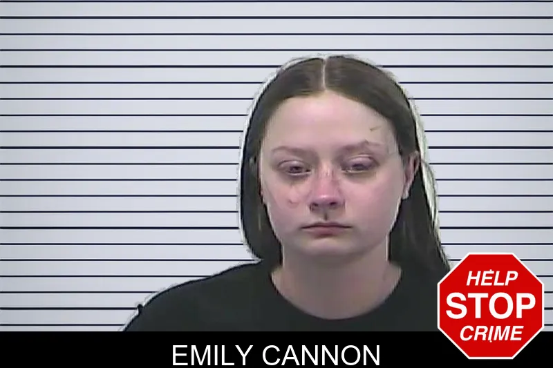 Emily Cannon mugshot – Dawson County , Georgia Emily Cannon mugshot