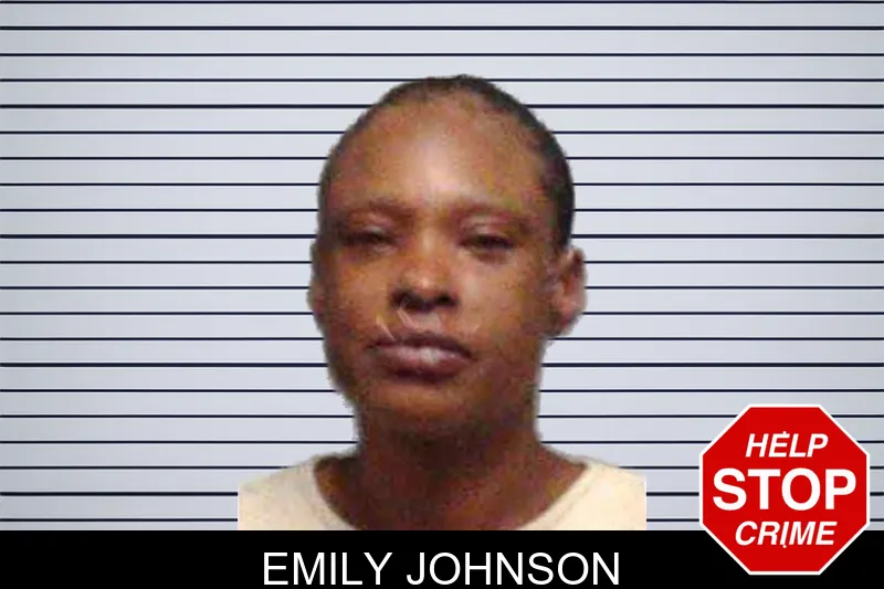 Emily Johnson mugshot