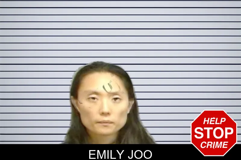 Emily Joo mugshot – Fulton County , Georgia Emily Joo mugshot