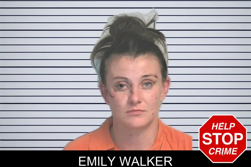 Emily Walker mugshot – Berrien County , Georgia Emily Walker mugshot