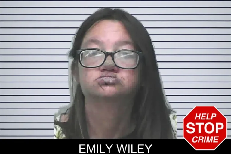 Emily Wiley mugshot – Lanier County , Georgia Emily Wiley