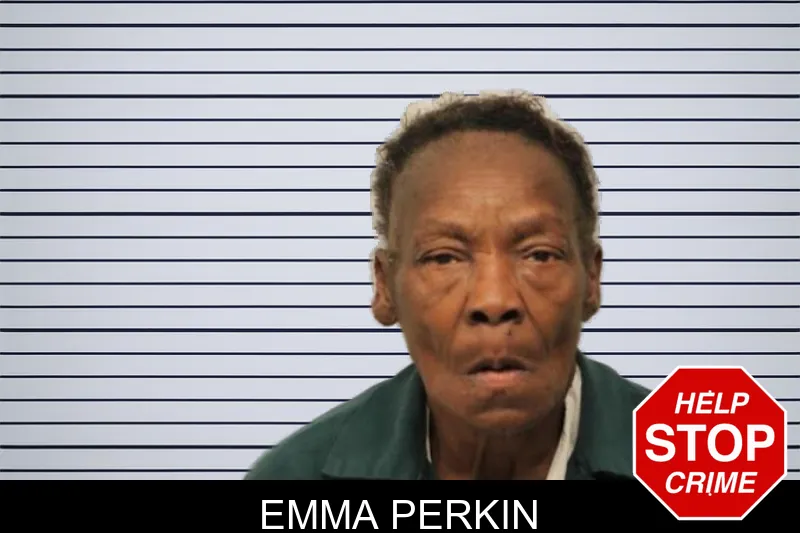 Emma Perkin mugshot