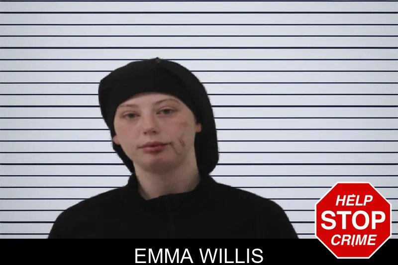 Emma Willis mugshot – Johnson County , Georgia Emma Willis mugshot
