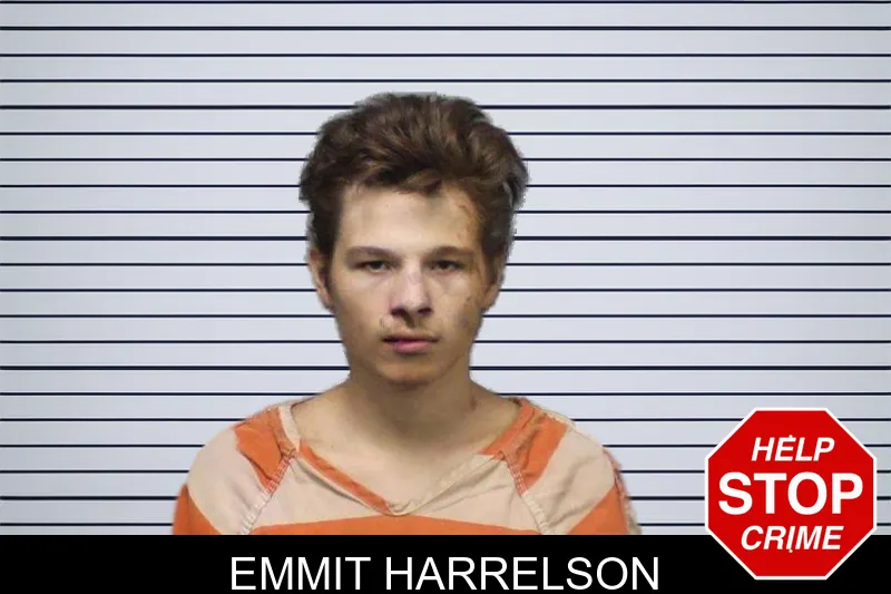 Emmit Harrelson mugshot – White County , Georgia Emmit Harrelson mugshot