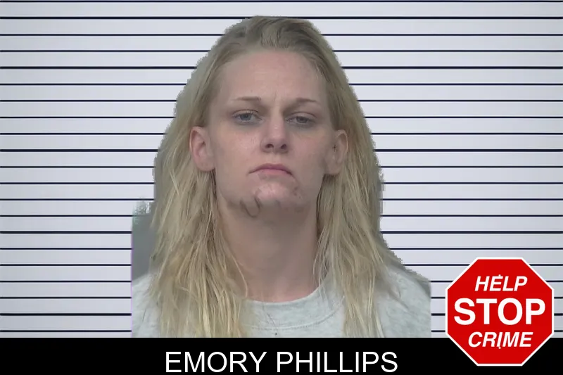 Emory Phillips mugshot – Gwinnett County , Georgia Emory Phillips mugshot