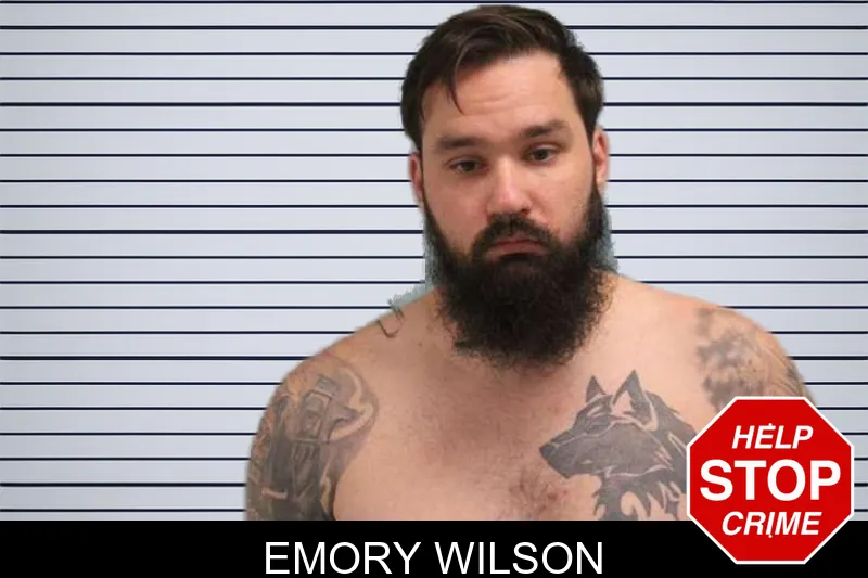 Emory Wilson mugshot