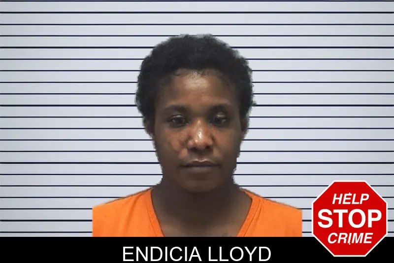 Endicia Lloyd mugshot – Cherokee County , Georgia Endicia Lloyd mugshot