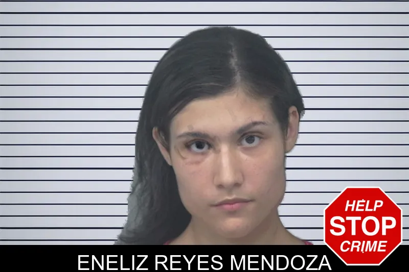 Eneliz Reyes Mendoza mugshot