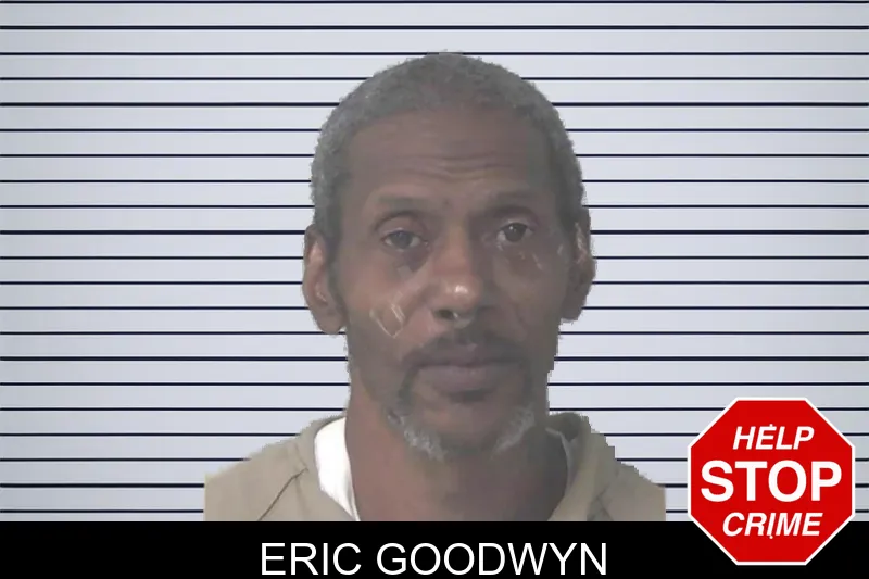Eric Goodwyn mugshot – Newton County , Georgia Eric Goodwyn mugshot