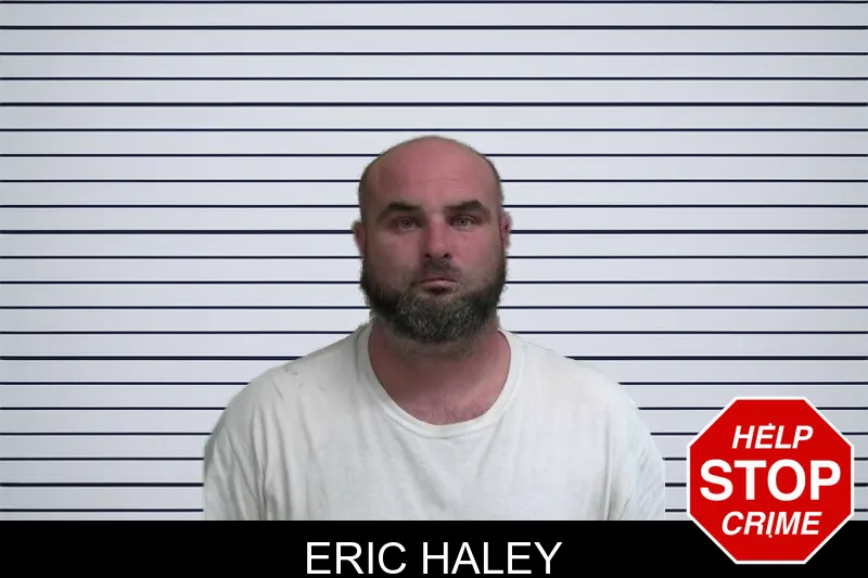 Eric Haley mugshot – Wayne County , Georgia Eric Haley mugshot