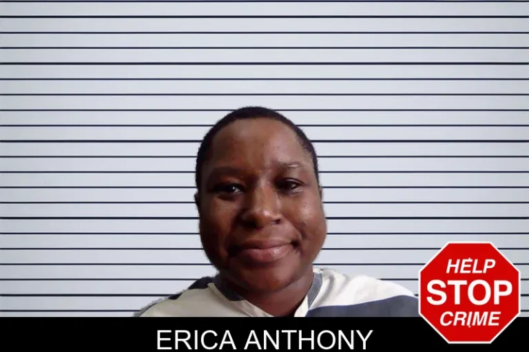 Erica Anthony mugshot – Evans County , Georgia Erica Anthony