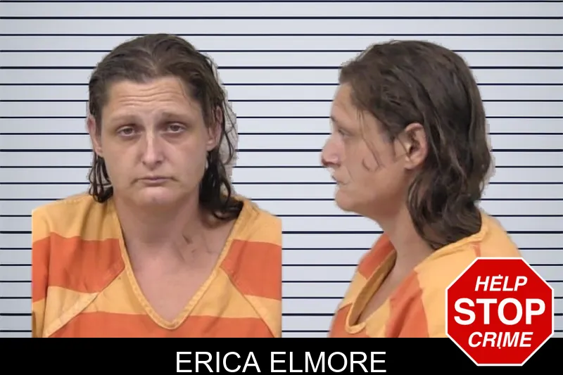 Erica Elmore mugshot – Paulding County , Georgia Erica Elmore mugshot