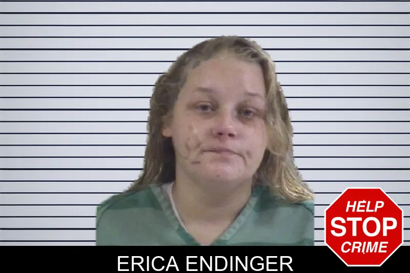 Erica Endinger mugshot – Whitfield County , Georgia Erica Endinger mugshot