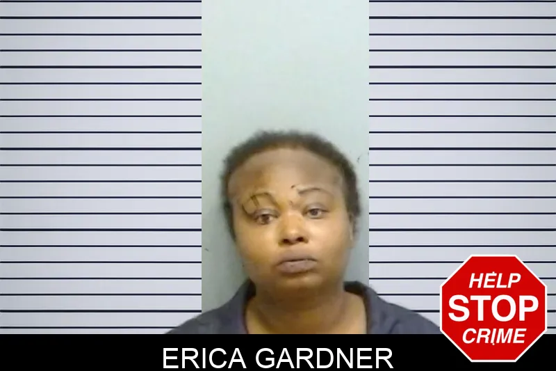 Erica Gardner mugshot