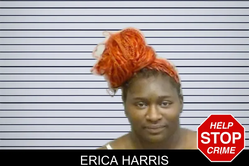 Erica Harris mugshot – Fulton County , Georgia Erica Harris mugshot