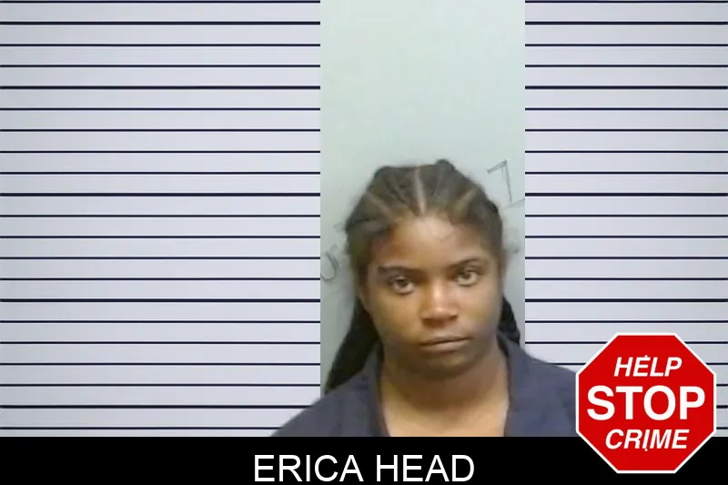Erica Head mugshot – Fulton County , Georgia Erica Head mugshot