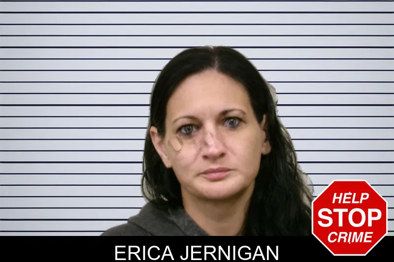 Erica Jernigan mugshot – Bulloch County , Georgia Erica Jernigan mugshot
