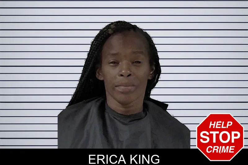 Erica King mugshot – Elbert County , Georgia Erica King mugshot