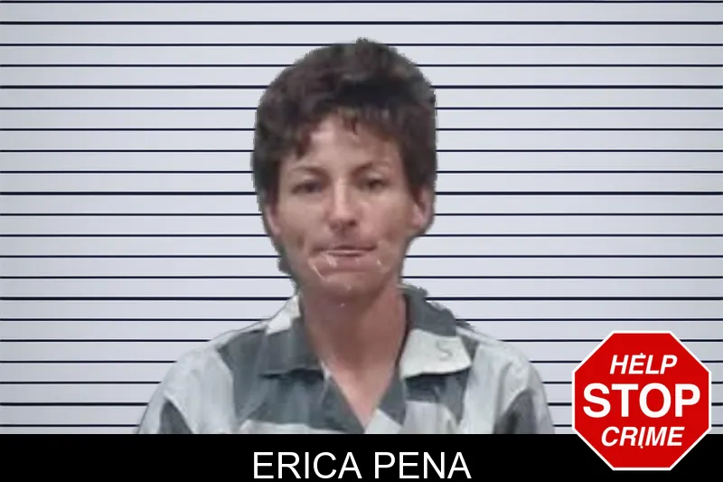 Erica Pena mugshot – Oglethorpe County , Georgia Erica Pena mugshot