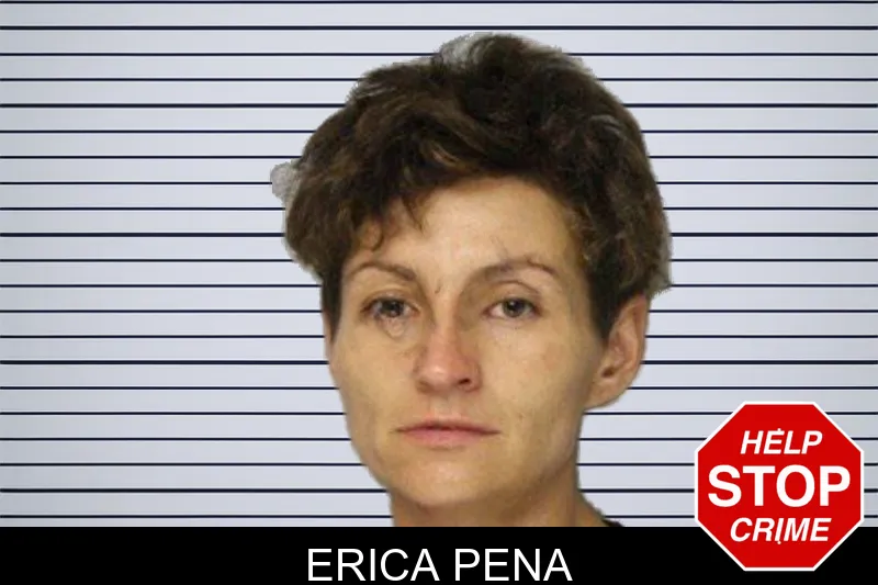 Erica Pena mugshot