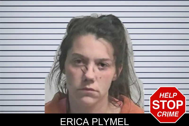 Erica Plymel mugshot – Colquitt County , Georgia Erica Plymel mugshot