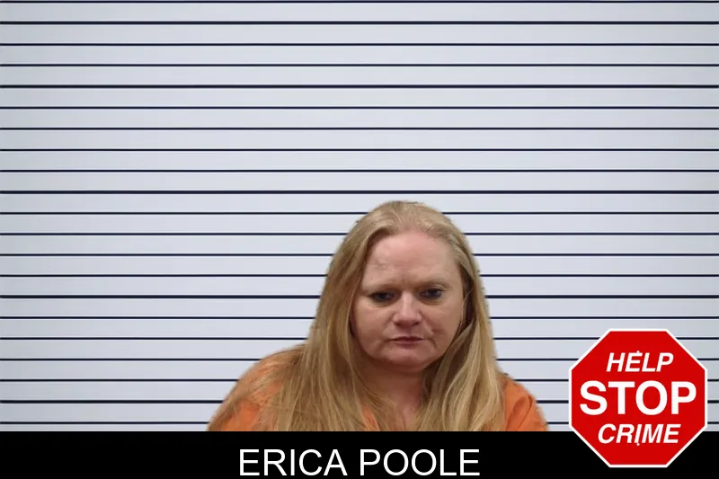 Erica Poole mugshot