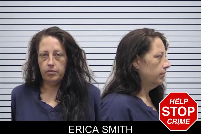 Erica Smith mugshot – Clarke County , Georgia Erica Smith mugshot